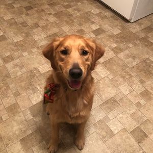 Meet your Posher, Zack